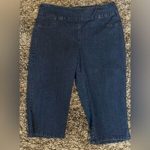 Ladies Ruby Rd., Capri pants
Size 14 
Like new